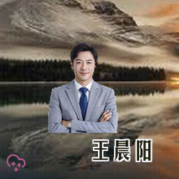 王晨阳